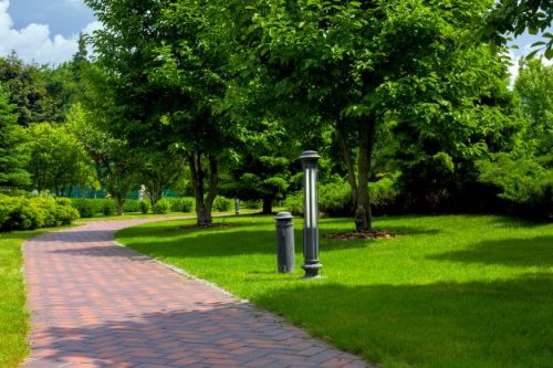 De specialisten op afdeling Groenadvies